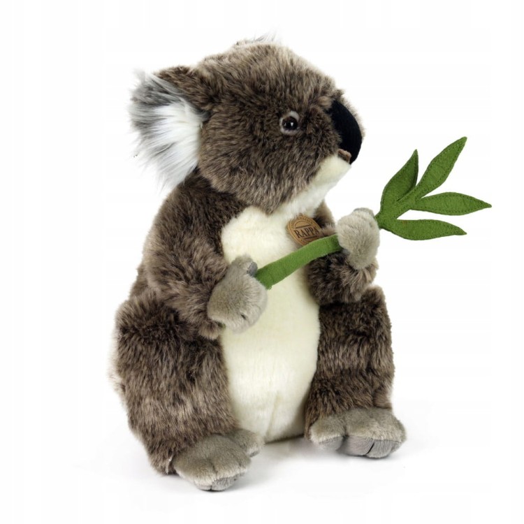alt="Maskotka koala 30 cm – realistyczny pluszak z australijskiego lasu"