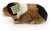 Pluszak maskotka Świnka Morska Friendly Prezent 22cm