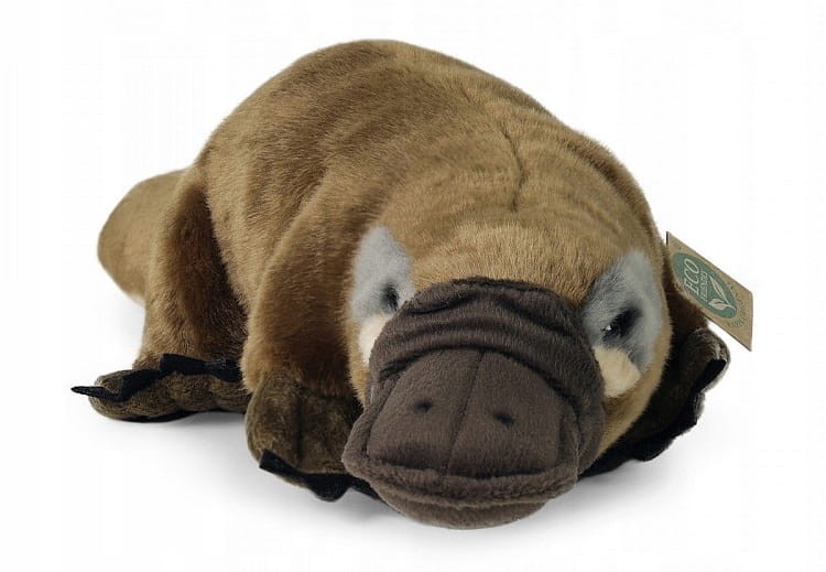 Pluszak maskotka Dziobak Friendly Prezent 30cm