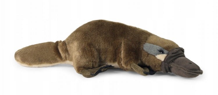 Pluszak maskotka Dziobak Friendly Prezent 30cm