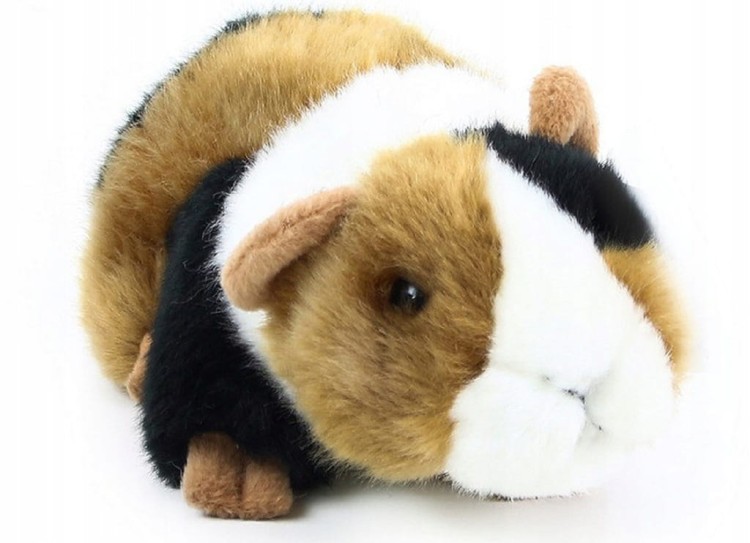 Pluszak maskotka Świnka Morska Friendly Prezent 17cm