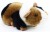 Pluszak maskotka Świnka Morska Friendly Prezent 17cm