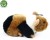 Pluszak maskotka Świnka Morska Friendly Prezent 17cm