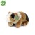 Pluszak maskotka Świnka Morska Friendly Prezent 17cm