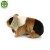 Pluszak maskotka Świnka Morska Friendly Prezent 17cm