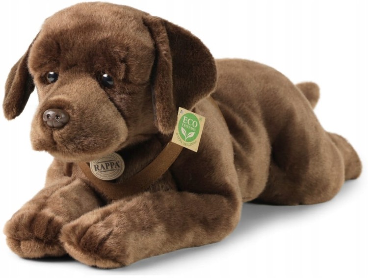 alt="Pluszak labrador XXL Eco Friendly Rappa 65 cm – duża realistyczna maskotka psa"