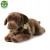 alt="Labrador XXL Eco Friendly Rappa 65 cm – realistyczny pluszak dla dzieci"