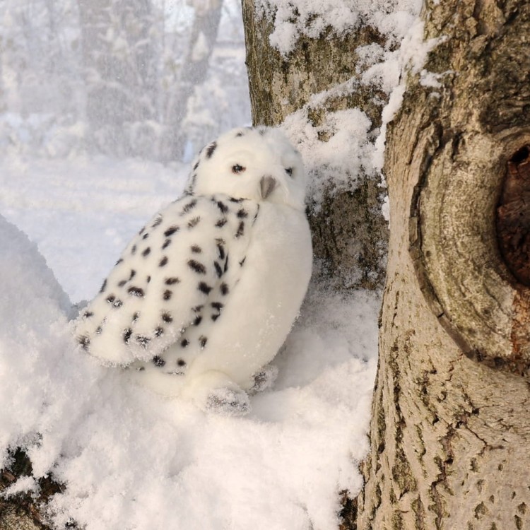 alt="Pluszowa sowa śnieżna 27 cm – eco friendly ptak"