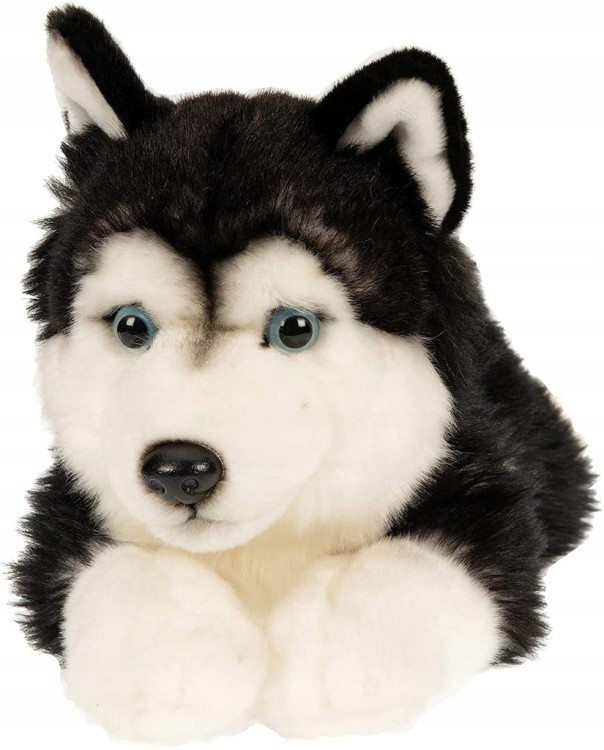 maskotka pies husky Uni-Toys leżący