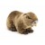 Maskotka Pluszak Wydra Nutria Eco Friendly