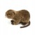 Maskotka Pluszak Wydra Nutria Eco Friendly