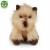 alt="Pluszak Cairn Terrier Eco Friendly Rappa – miękka maskotka z certyfikatem CE"