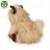 alt="Cairn Terrier Rappa 30 cm – realistyczny pluszak inspirowany szkockim terrierem"