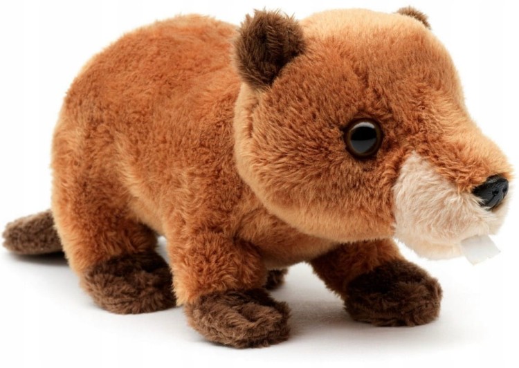 Maskotka Pluszak Bóbr Eco Friendly