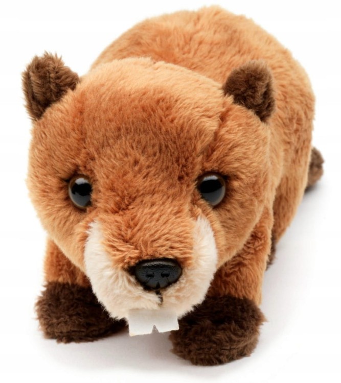 Maskotka Pluszak Bóbr Eco Friendly