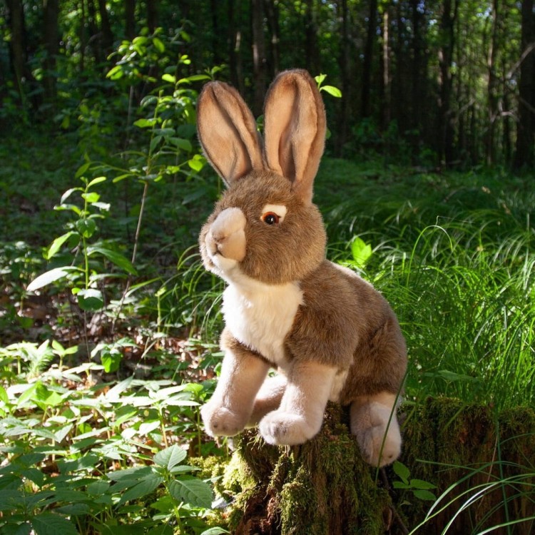 alt="Realistyczna maskotka królik Eco Friendly"
