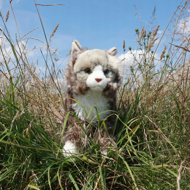 Eco Friendly kot norweski Rappa – miękka i duża maskotka leśnego kota