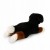 Berneński pies pasterski Eco Friendly 30 cm – hipoalergiczna maskotka