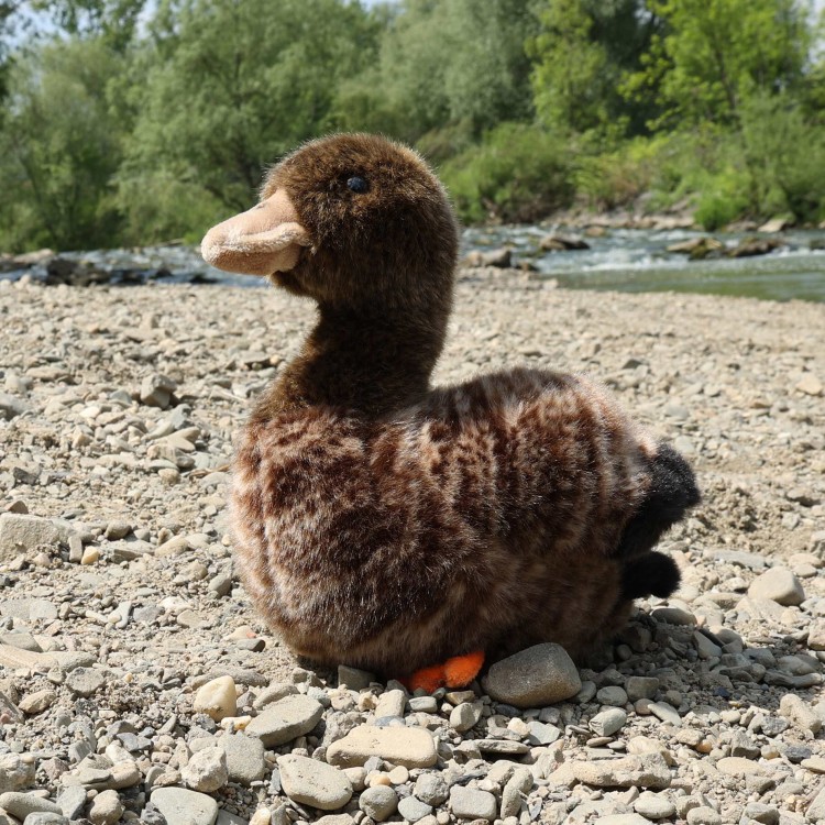alt="pluszowa kaczka czarna"
