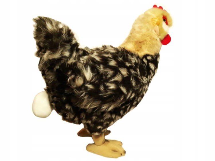 alt="Pluszowa kura 29×37 cm – naturalnie wyglądająca maskotka"