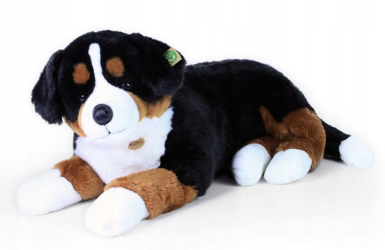Pluszak pies berneński XXL Eco Friendly Rappa 89 cm – olbrzymia maskotka psa