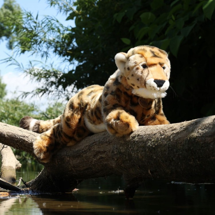 alt="Ekologiczny gepard pluszak Rappa"