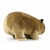 Maskotka Pluszak Wombat Olbrzymi Eco Friendly 57cm