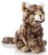 1. P30194 7N2A2332-Bearbeitet vergroeßert Shopware_1920x1920.jpg