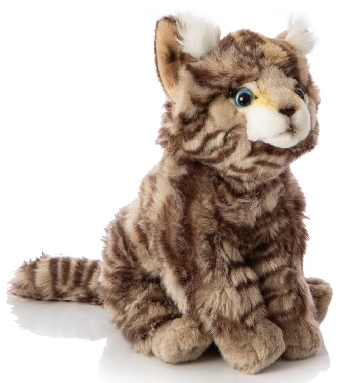 1. P30194 7N2A2332-Bearbeitet vergroeßert Shopware_1920x1920.jpg