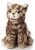 2. P30194 7N2A2336-Bearbeitet vergroeßert Shopware_1920x1920.jpg