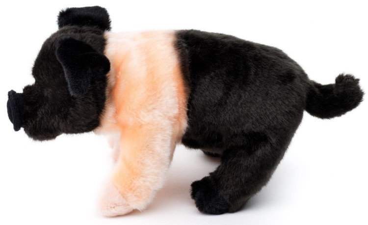 4. Q90293 Uni-Toys-2022-12-_0252 Shopware_1920x1920.jpg