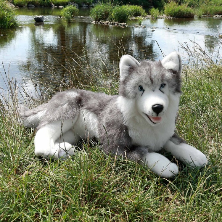 alt="Maskotka Husky Rappa 60 cm – duży pluszak idealny jako prezent dla dziecka"