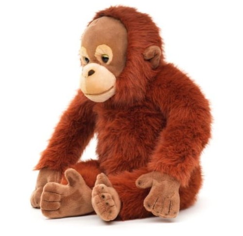 T50034 (2)_800x800.jpg