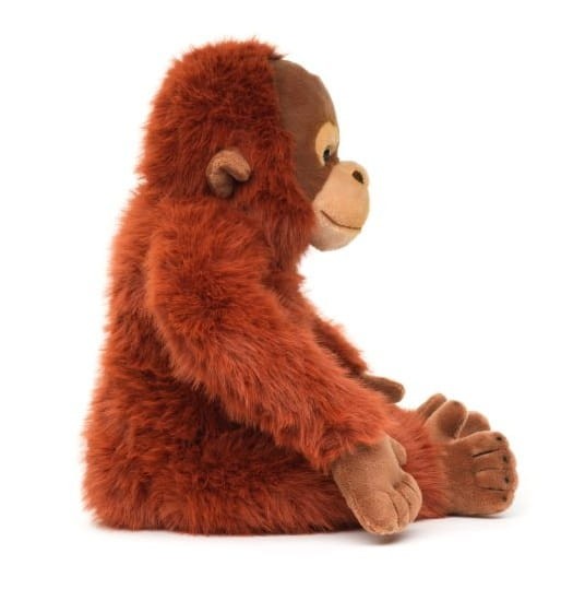 T50034 (3)_800x800.jpg