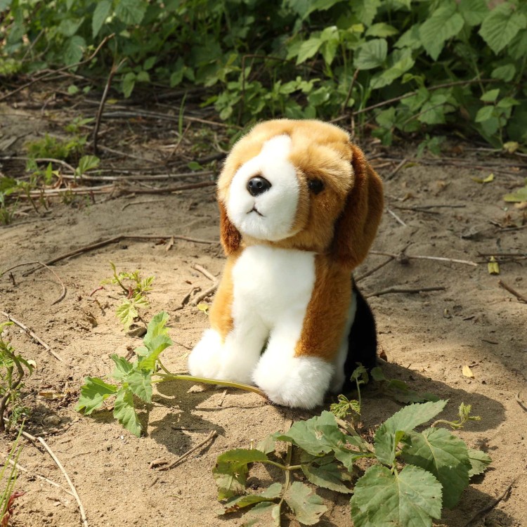 alt="Maskotka pies beagle Rappa – trójkolorowy pluszak"