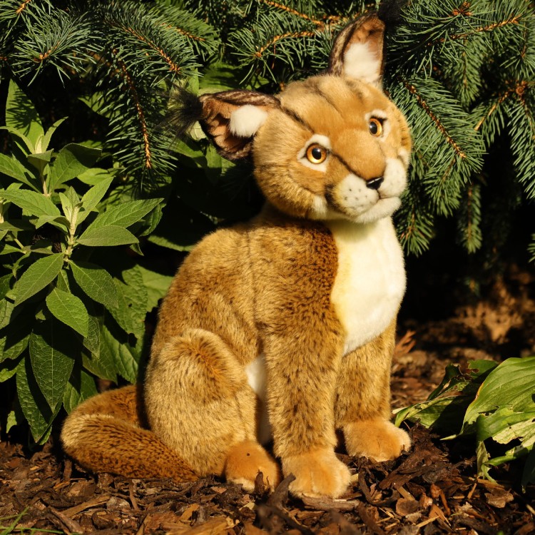 alt="Karakal Eco Friendly 35 cm – miękka i bezpieczna maskotka"