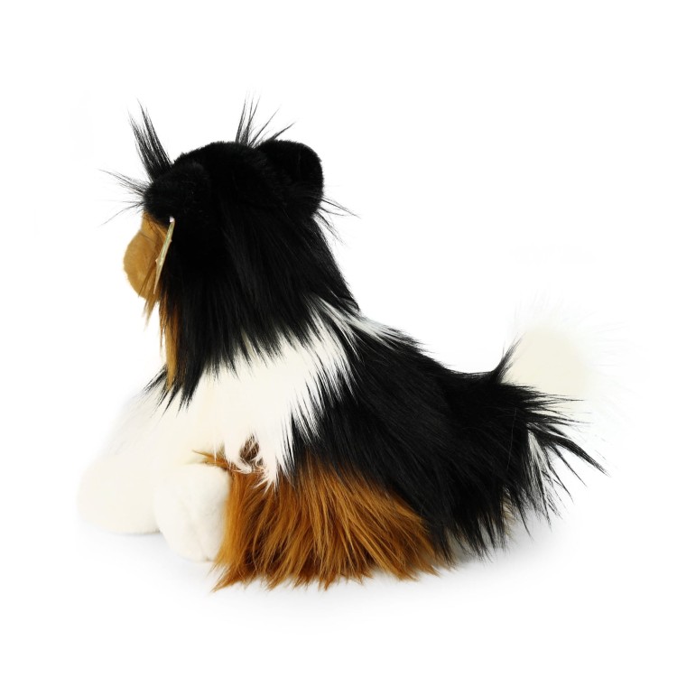alt="Pluszowy collie szorstkowłosy – elegancki pies pasterski"