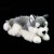 Realistyczny husky 32 cm leżący