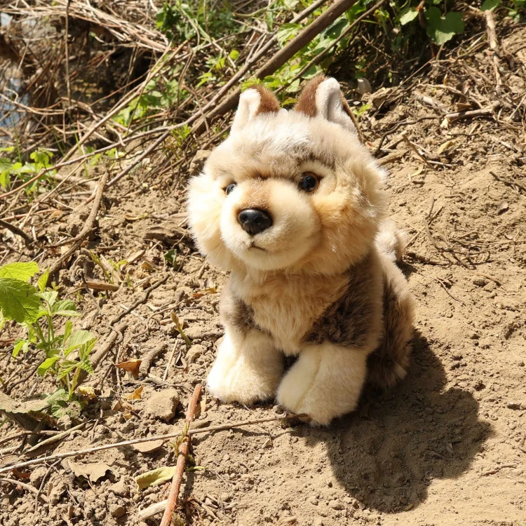 alt="Ekologiczny wilczek Rappa dla dzieci"