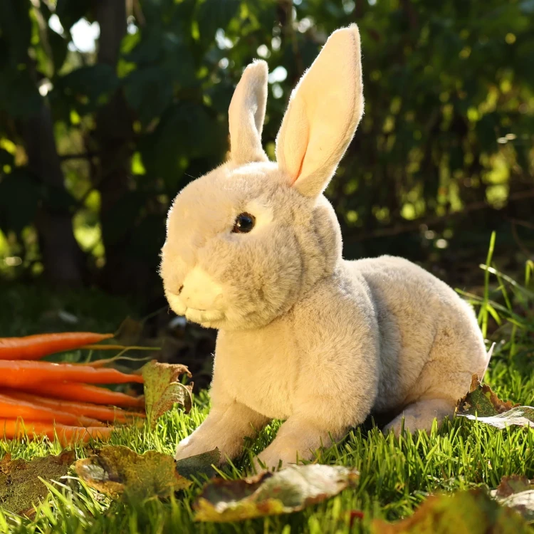 alt="Maskotka królik Soft Collection – szary pluszak dla dzieci"