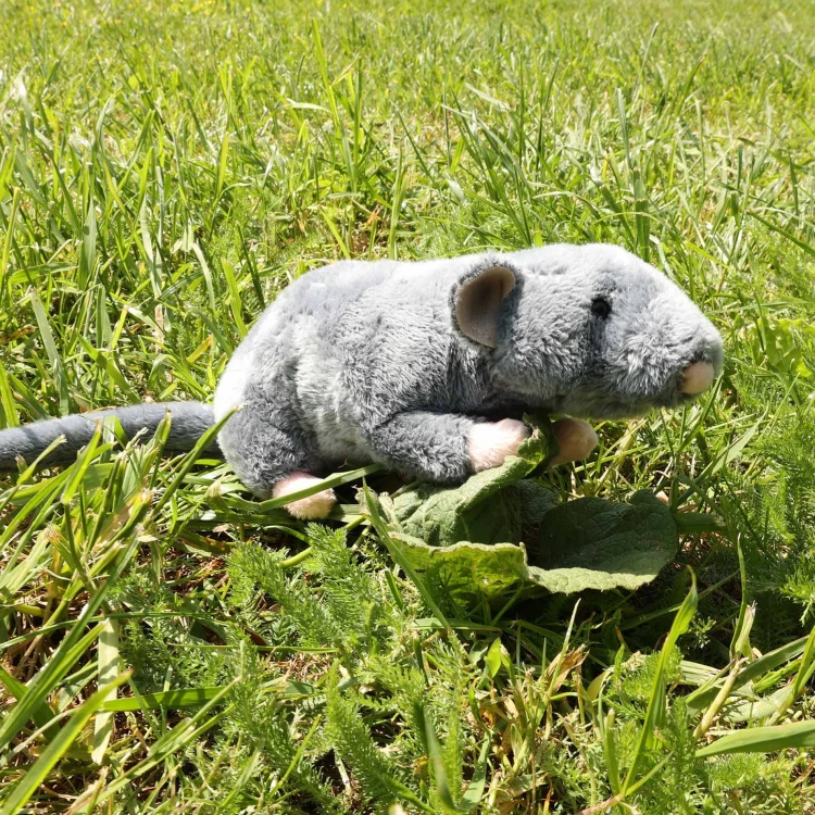 Pluszak mysz ekologiczna Rappa na trawie zdjęcie lifestyle