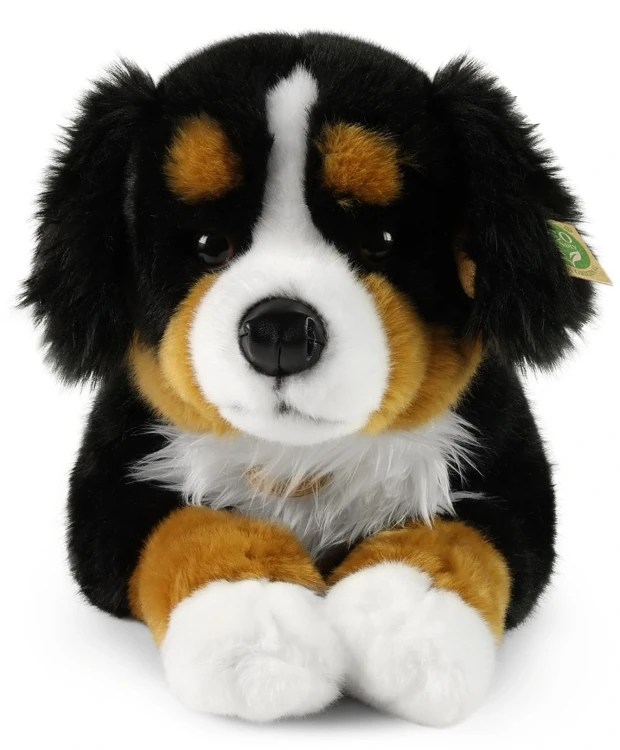 Maskotka duży pies berneński XXL Rappa 61 cm