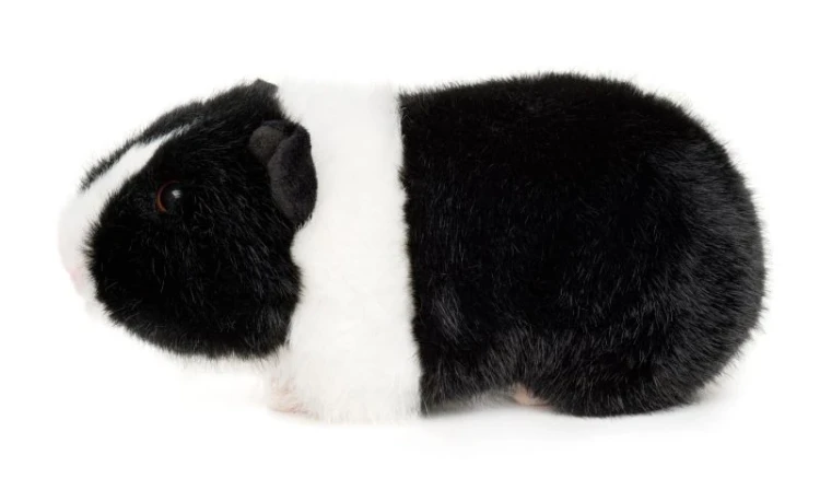 Maskotka świnka morska leżąca – miękka zabawka pluszowa w naturalnych kolorach