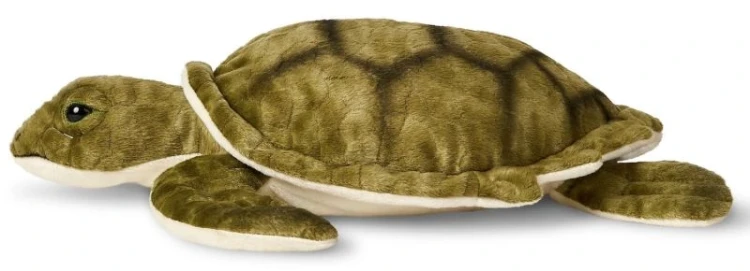pluszak żółw morski ekologiczny profil boczny