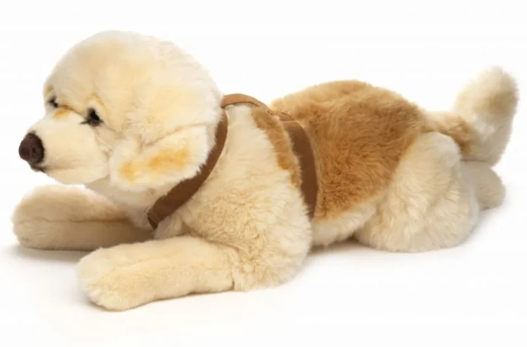 Eco friendly golden retriever z szelkami – duży pluszak dla dzieci