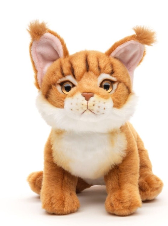 Pluszak kot Maine Coon Uni-Toys 19 cm – realistyczna maskotka