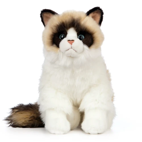 maskotka kot ragdoll Living Nature eco friendly
