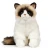 maskotka kot ragdoll Living Nature eco friendly
