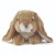 AN40B.webp