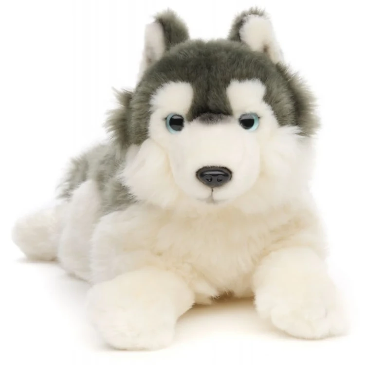 pluszak pies husky leżący Uni-Toys 38 cm